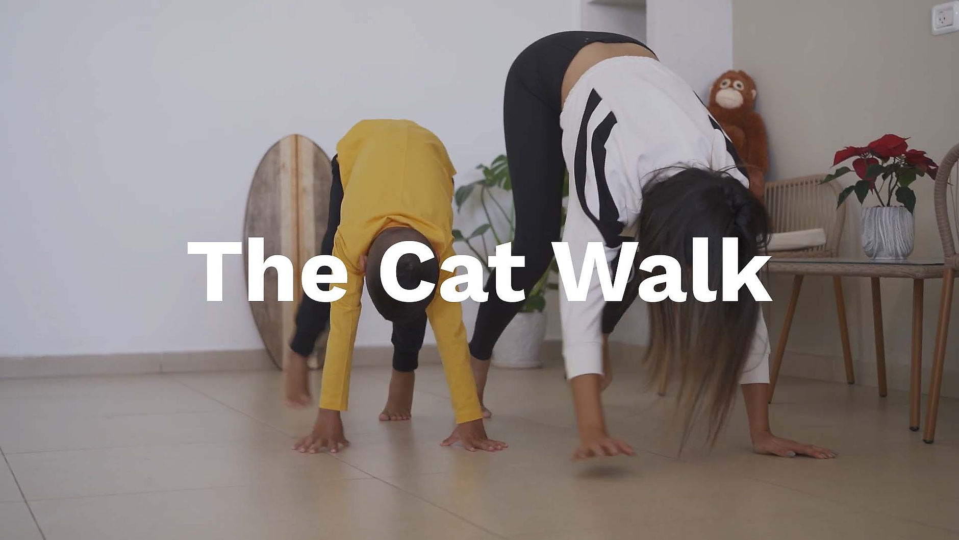 The Cat Walk